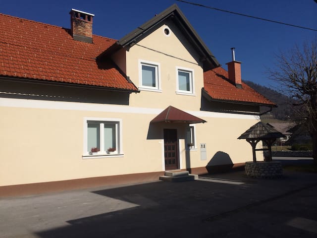 Spacious traditional Slovenian house