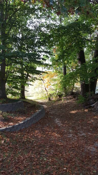 View of the backyard