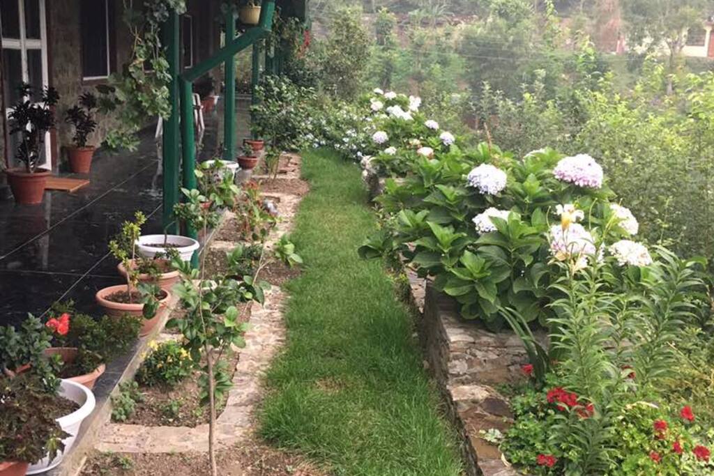 Outdoor