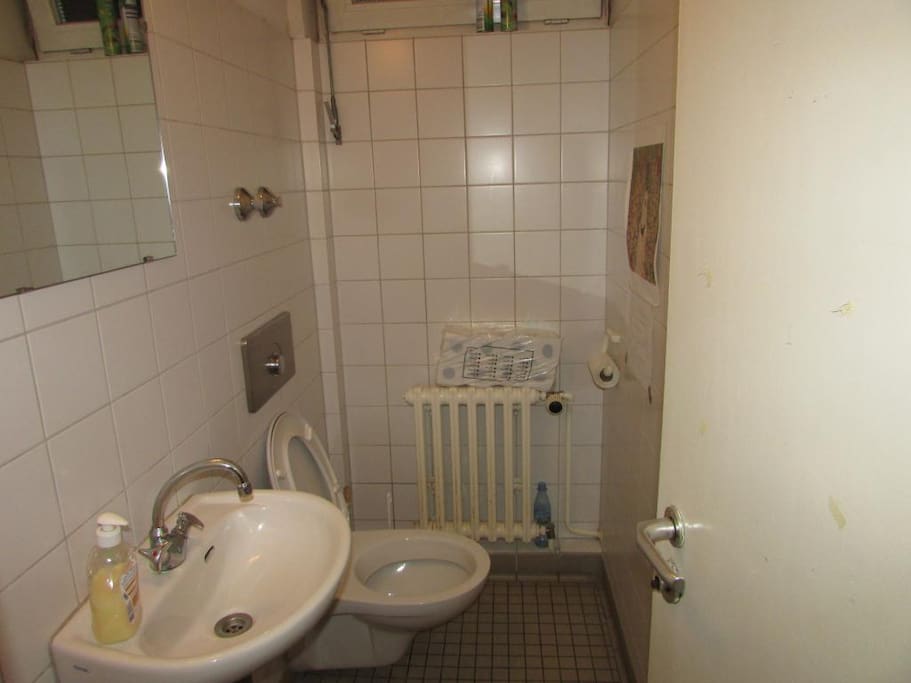 The toilet