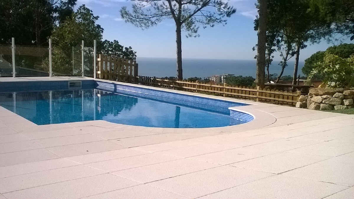 A salt-water pool is surrounded by a spacious patio area, with clear views of the ocean in the background. Tall trees provide shade, and a wooden deck is visible in the distance, allowing for a peaceful outdoor experience.