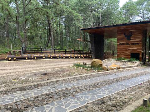 Cachanilla cabin in the middle of the forest
