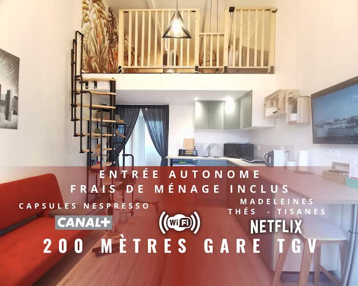 Quiet apartment 200 m Gare TGV mezzanine and terrace