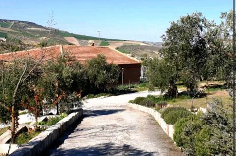 Puente Alhama Farmhouse