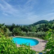 The image showcases a serene swimming pool surrounded by lush greenery and a panoramic view of the rolling hills. Olive trees and other foliage frame the scene, with a clear blue sky above, creating a peaceful and inviting outdoor space.