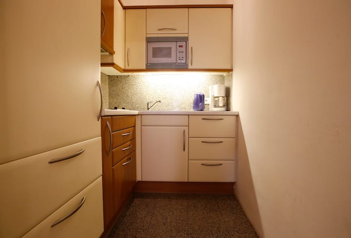 Airconditioned Apart In City Center - Bécs