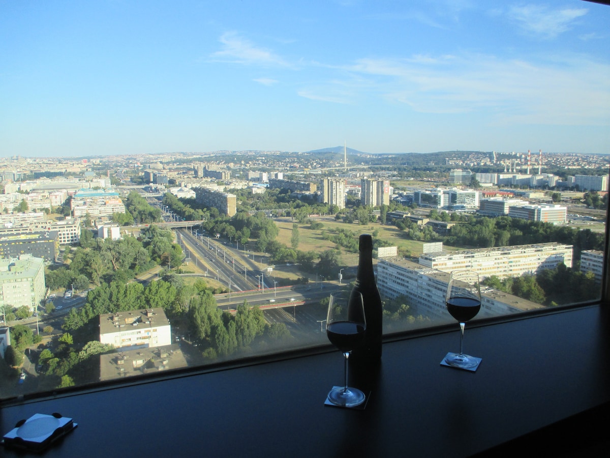 A panoramic city view is captured through large windows, displaying green landscapes and urban structures stretching into the distance. A bottle of wine rests beside two glasses on a flat surface, inviting guests to enjoy the serene vista.