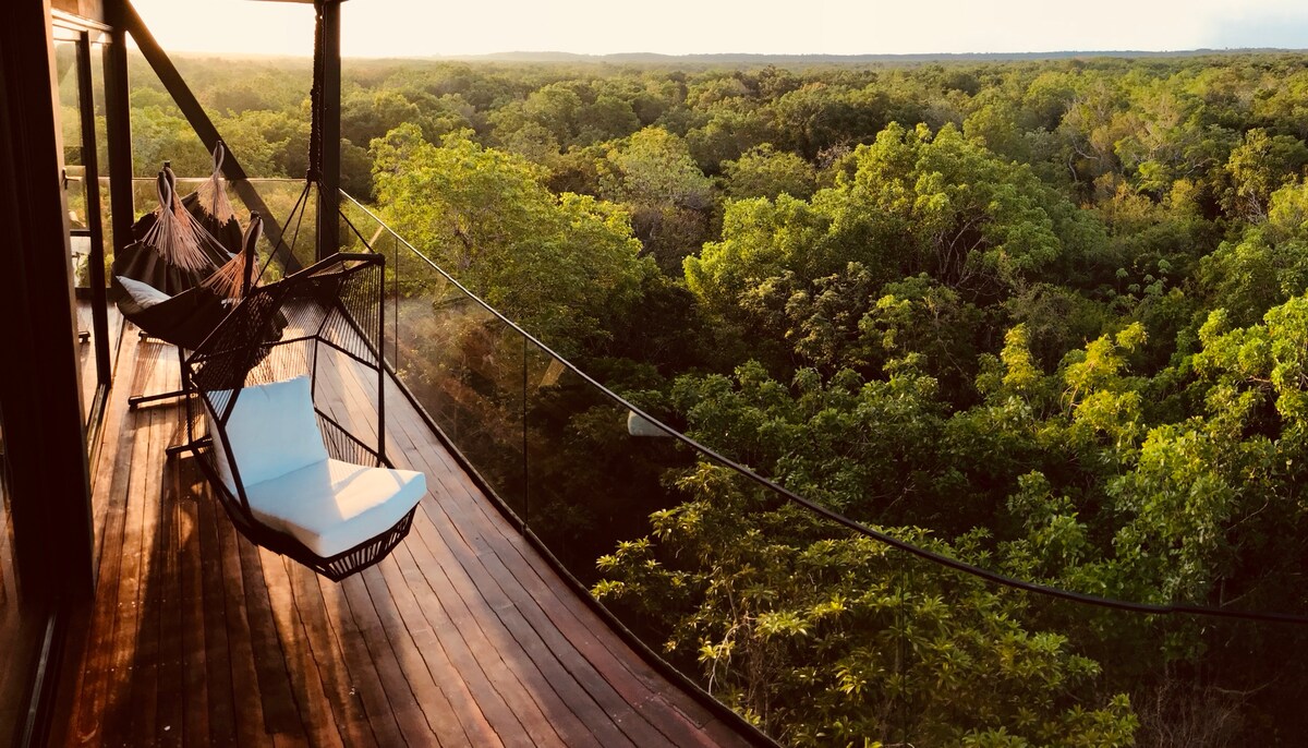 A spacious terrace offers a serene view of the lush jungle canopy, framed by floor-to-ceiling glass. Comfortable hanging chairs and a lounge chair invite relaxation while enjoying the natural surroundings, as sunlight casts a warm glow over the wooden deck.