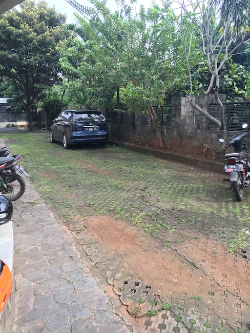 Front yard