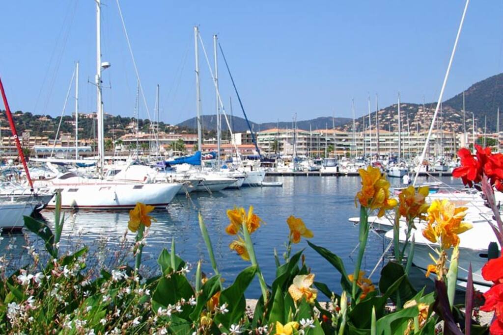 Le port de Cavalaire