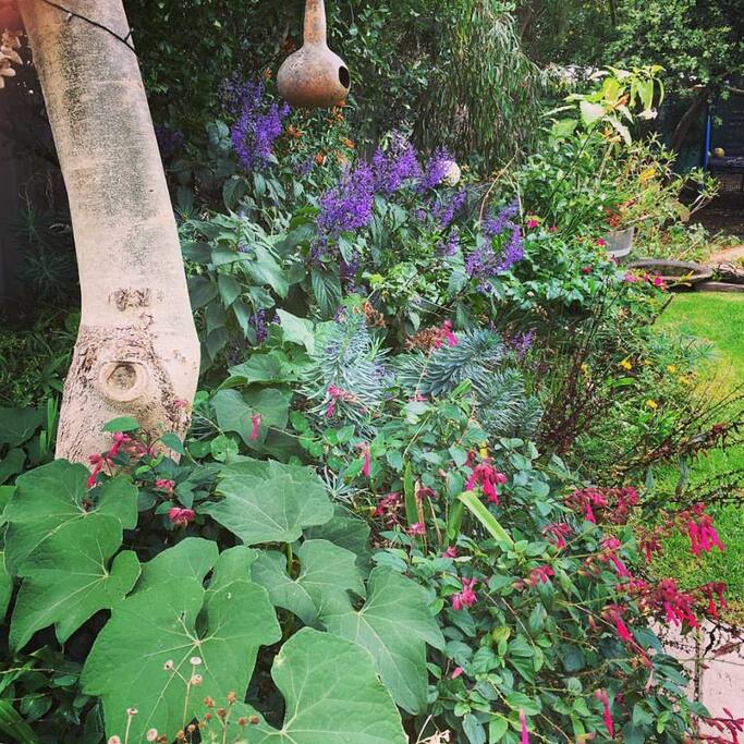gorgeous garden