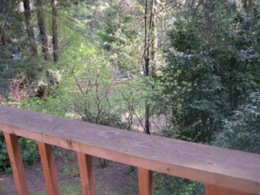 View from the Porch off of your deck