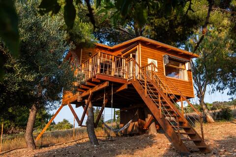 the Treehouse Project