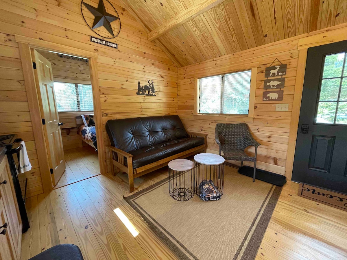 Successful Airbnb property: Trail 22 Lodge- Direct Trail Access in Knoxville