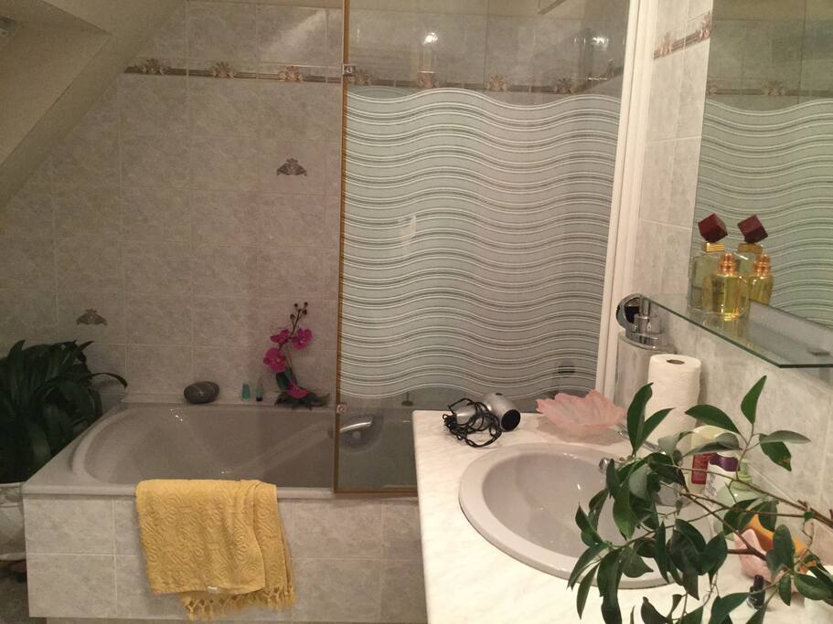 double vasque, douche et baignoire