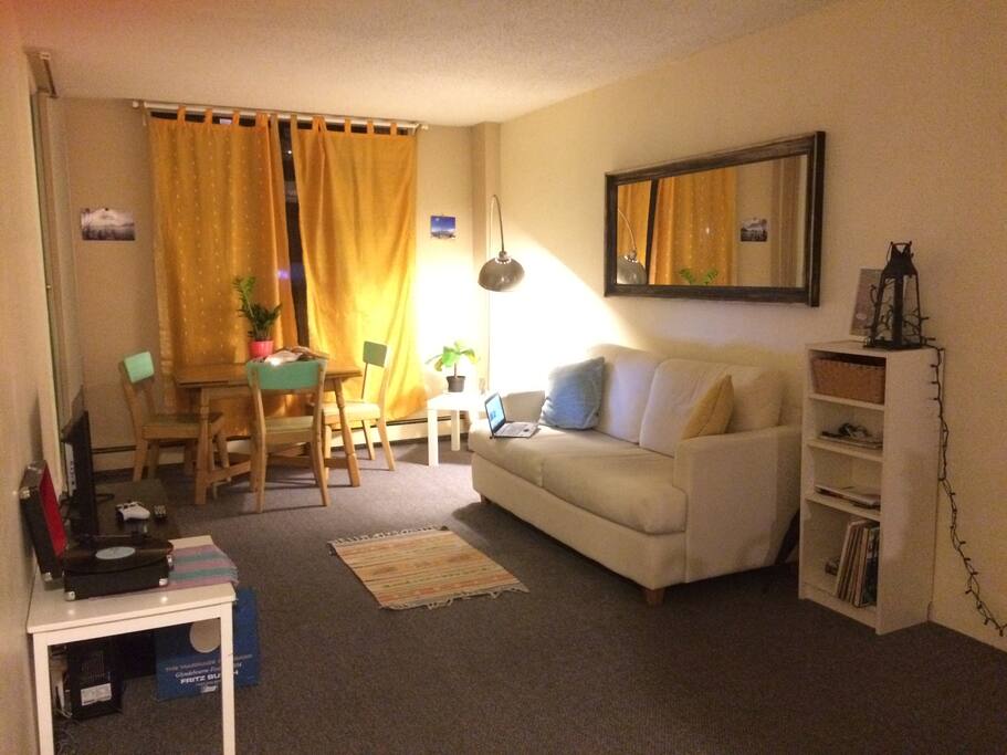 Lounge area with 32" flat screen TV,HDMI cable and record player