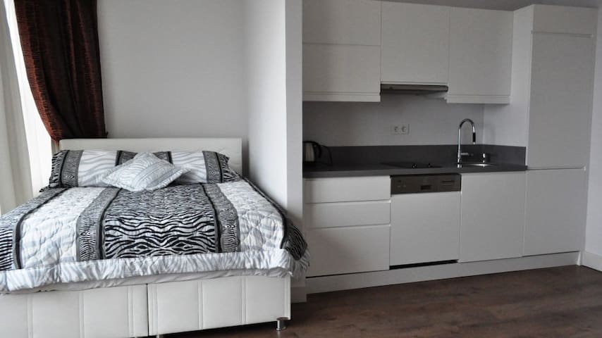 Molton Design Studio Rooms