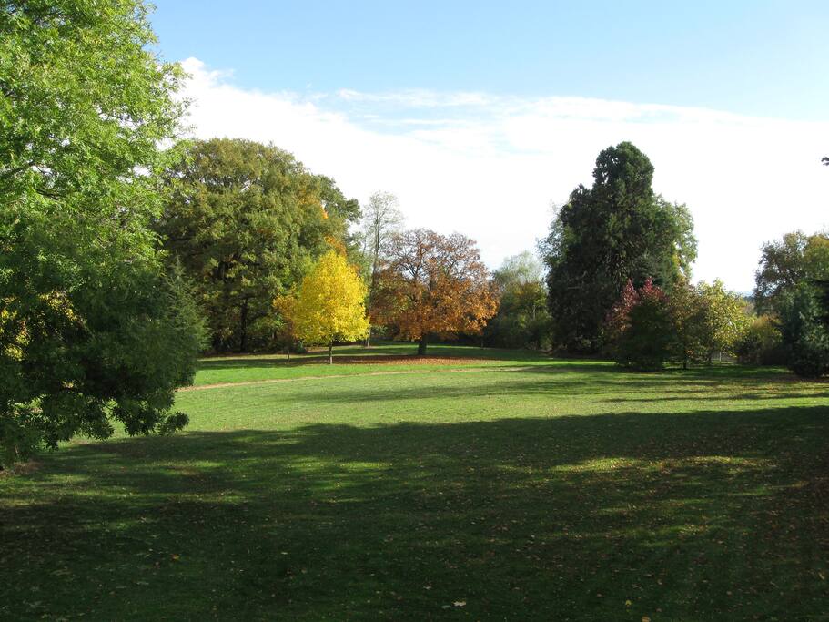 Extensive grounds as well as tree-house, swings/slide