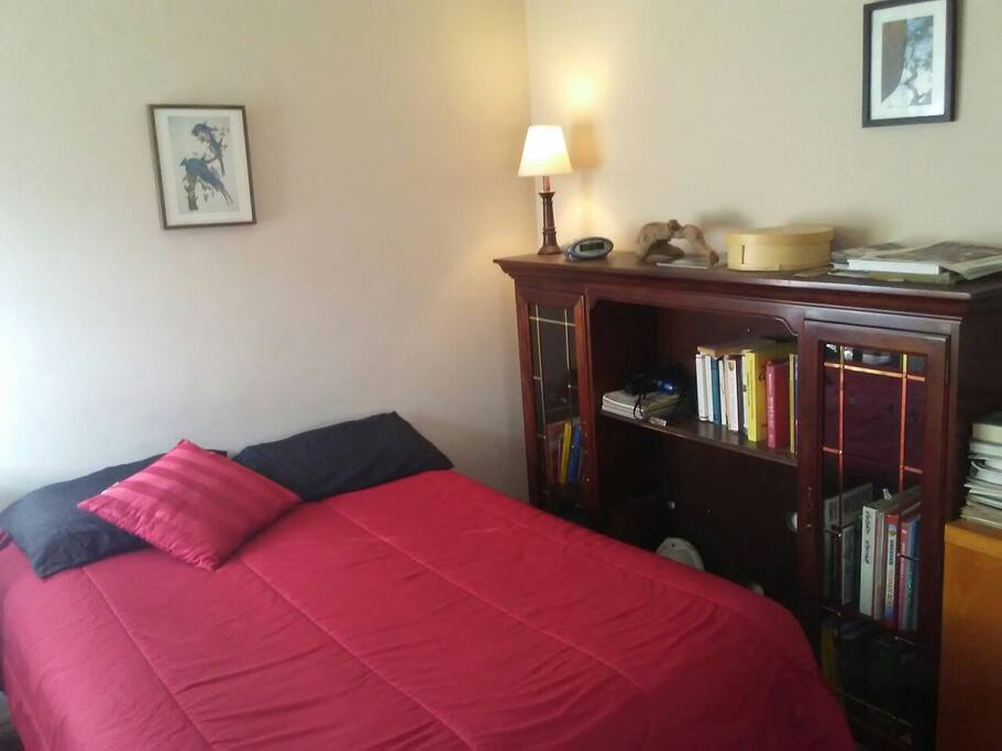 The room has been like this for a while. Finally putting this up. Lots of good books.