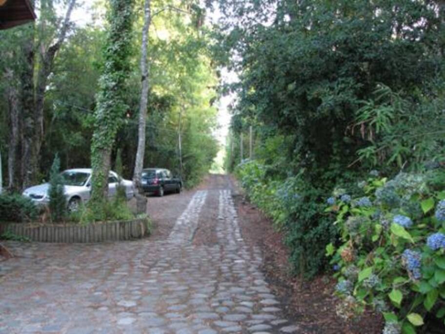 Paisaje fuera de la casa
