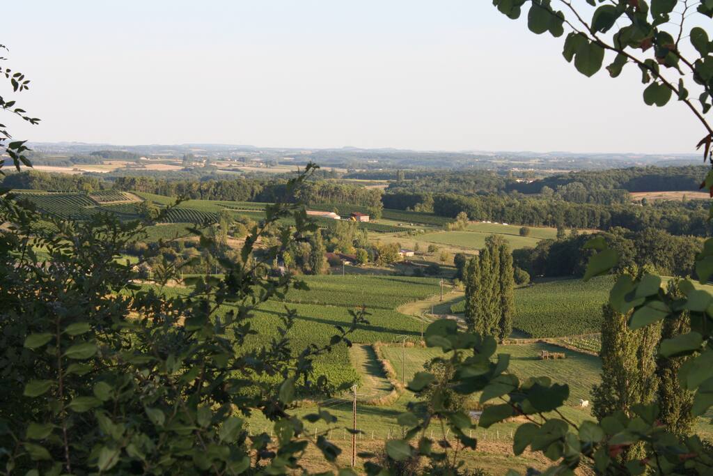 vue