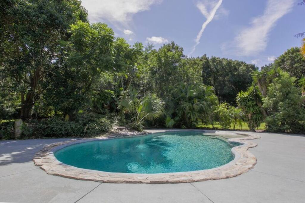 Lagoon style pool