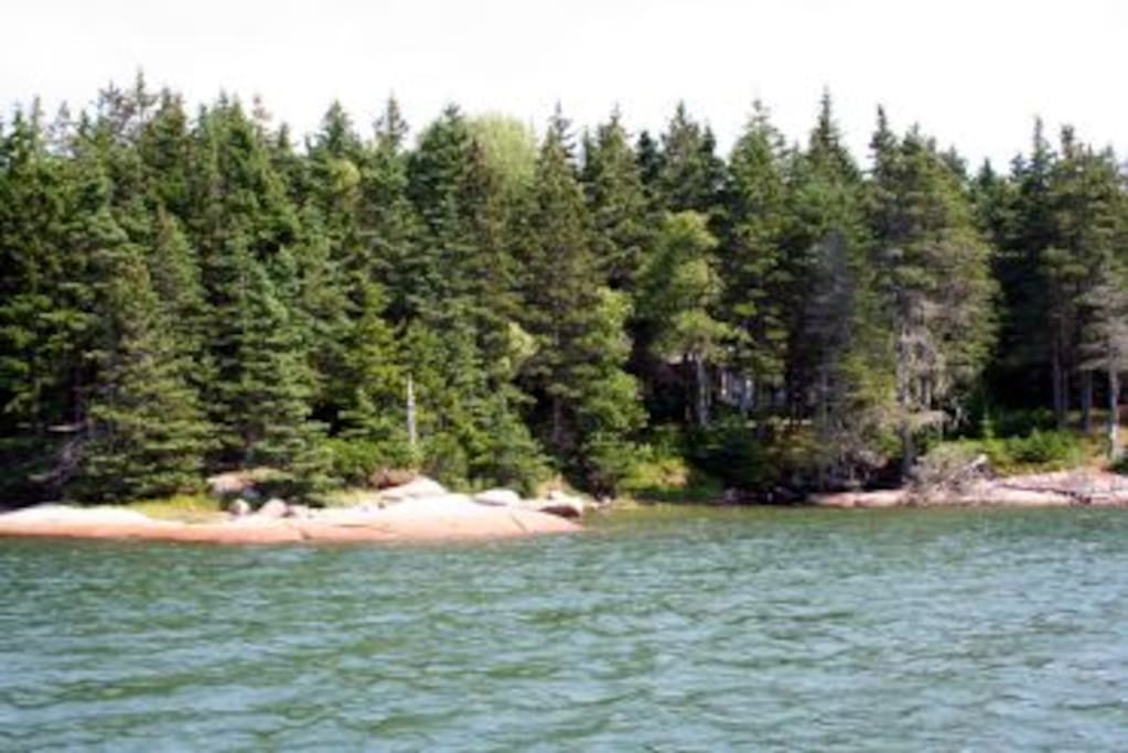 View of the bay