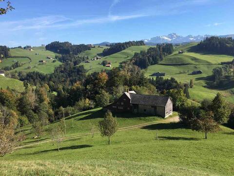 Pure nature with a view of Säntis