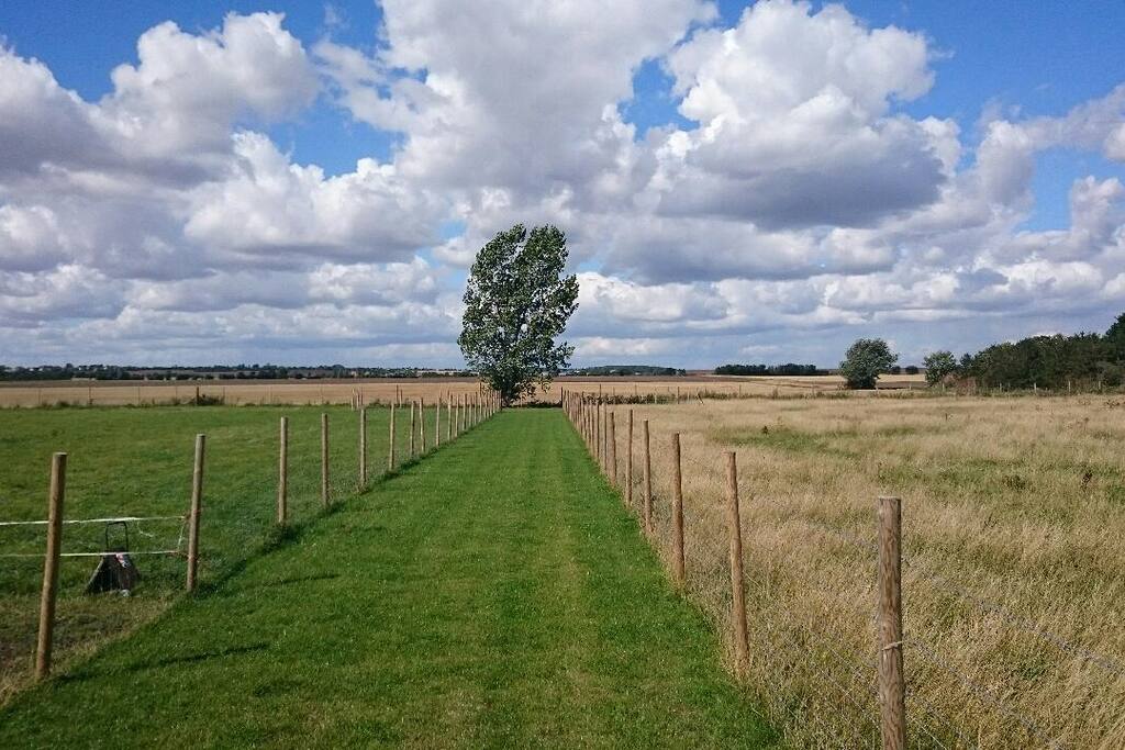 Farm location with big, dark skies. In an area designated as having very little light pollution and therefore great for star gazing.