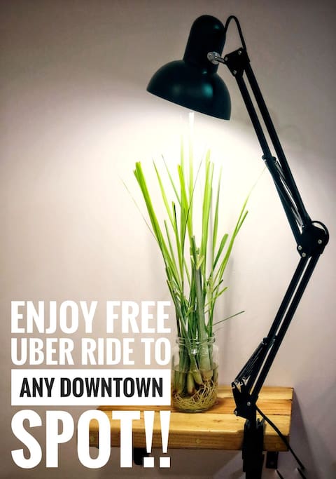Yeah, you got that right! Free UBER!