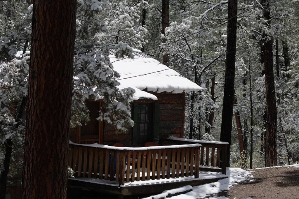 CABIN 10