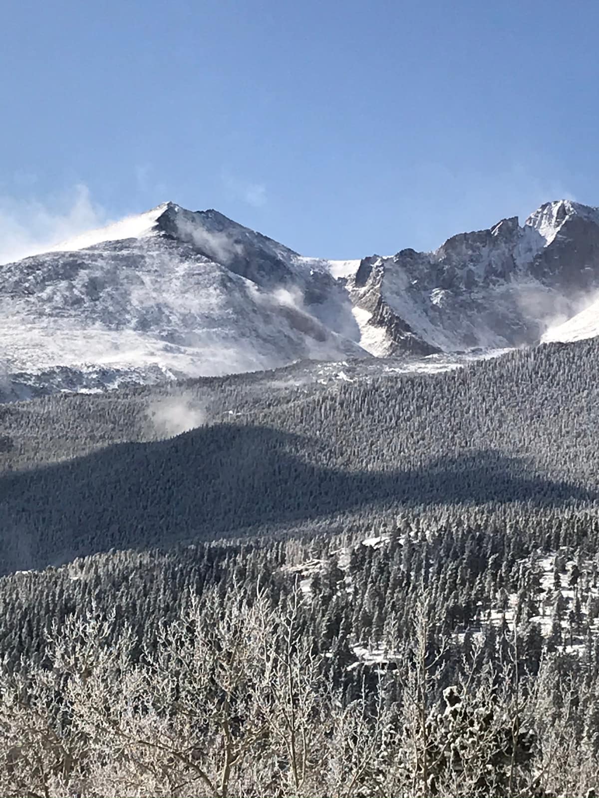Snow-capped mountain peaks rise majestically against a clear blue sky, displaying a range of textures from the rugged rock faces to the silvery cloak of snow. Dense evergreen forests cover the lower slopes, creating a striking contrast with the stark mountain tops.