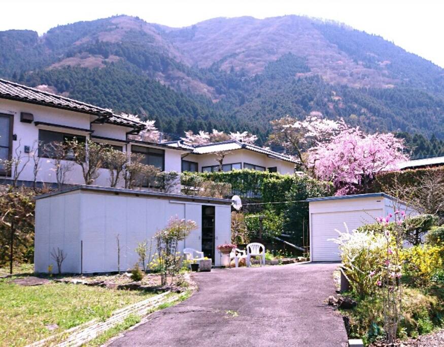 湯布院月灯り Houses For Rent In 由布市 大分県 Japan 湯布院月灯り Houses For Rent In 由布市 大分県 Japan