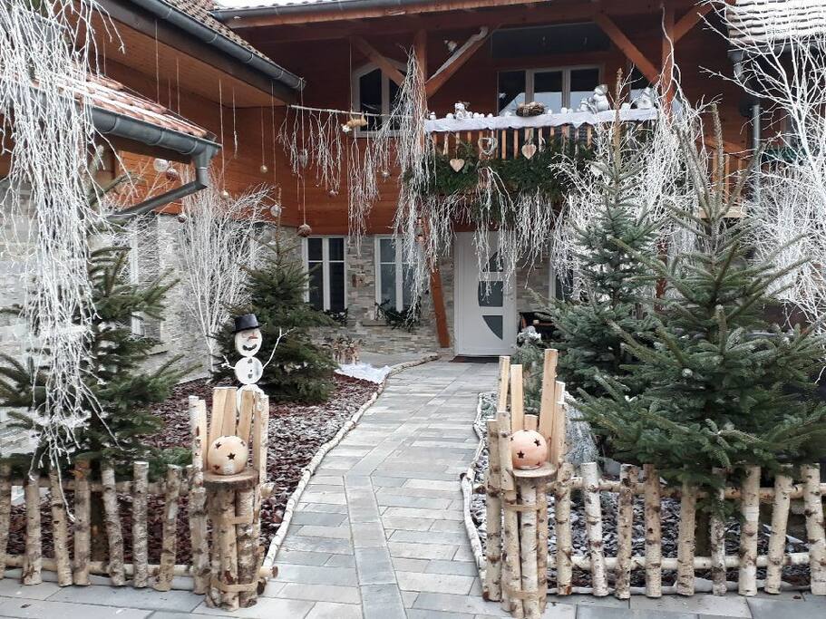 Notre cour décorée pour Noël... Version "de jour"