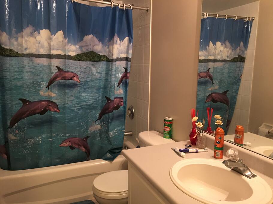 you might share this shower & washroom with some roommate.
