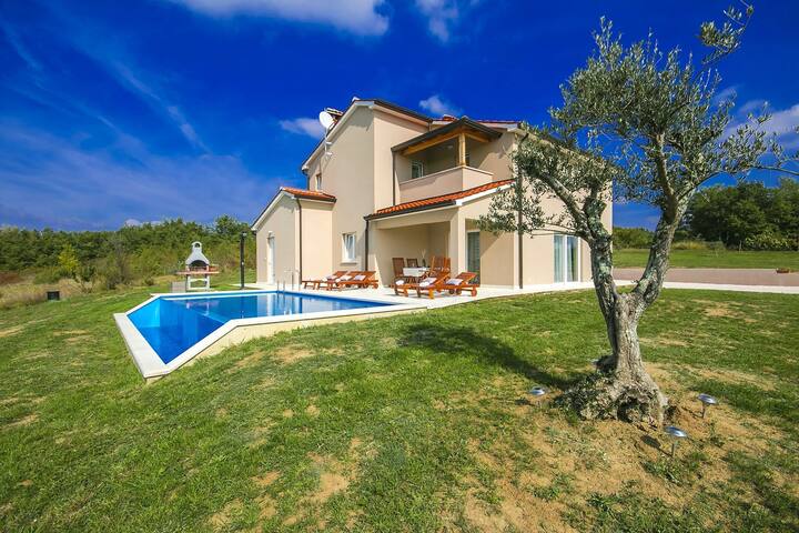 Luxury Villa with Infinity Pool and Scenic Views in Motovun