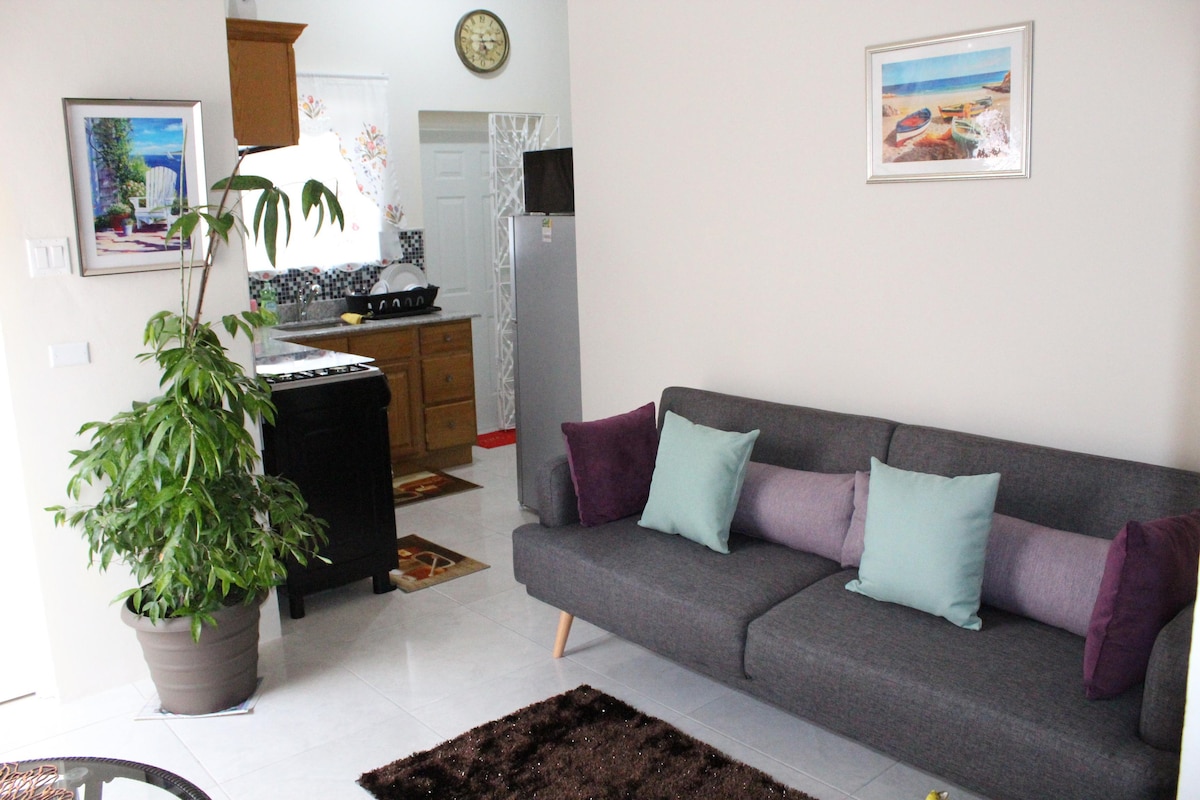 A modern living area features a comfortable gray sofa adorned with colorful pillows. A potted plant adds a touch of greenery. In the background, a kitchen with wooden cabinetry and an open layout can be seen, complemented by a round dining table and artwork on the walls.