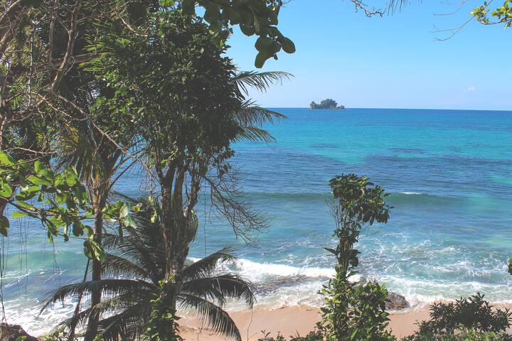 Economy Oceanview Room - Bird Island Bungalows