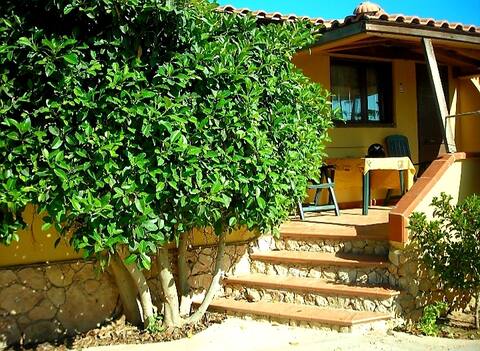 Paradise in Lampedusa