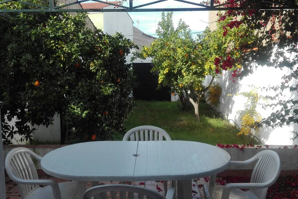 terraza con salida a jardin