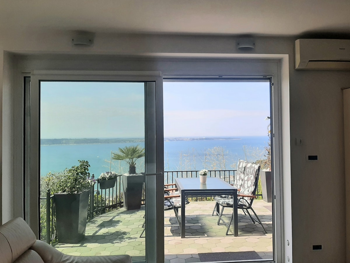 A view from inside the apartment showcases a spacious terrace with a dining table and chairs, framed by large glass doors. The expansive landscape reveals a tranquil sea, with potted plants enhancing the serene setting.