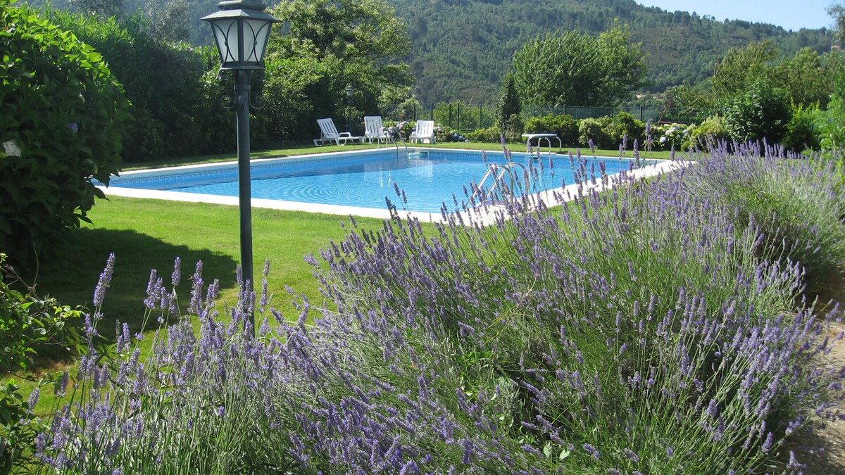 A serene outdoor space features a private swimming pool surrounded by a well-maintained lawn. Vibrant lavender plants grow abundantly in the foreground, adding a touch of color. A lamp post stands nearby, contributing to the tranquil atmosphere of the garden.
