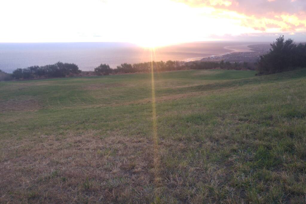 vue du pré à 20 mètres du bungalow.