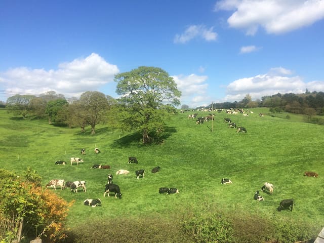 Airbnb Cheddleton Holiday Rentals Places To Stay England