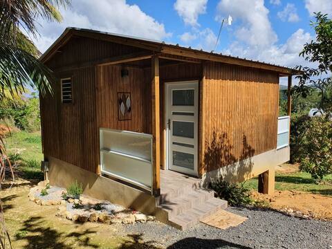 Lia's Tiny House Lares