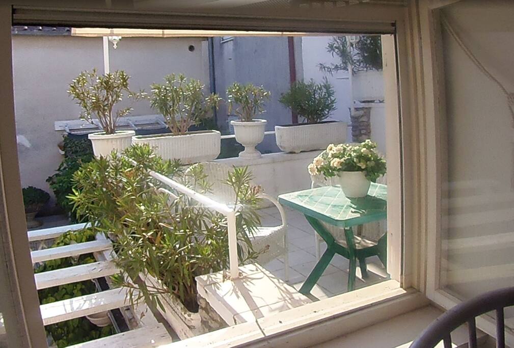 Il terrazzo e gli oleandri - The terrace and the oleanders