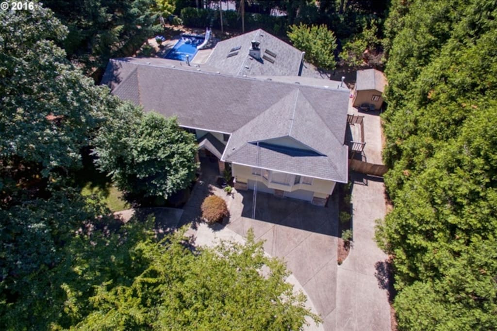 Bird View