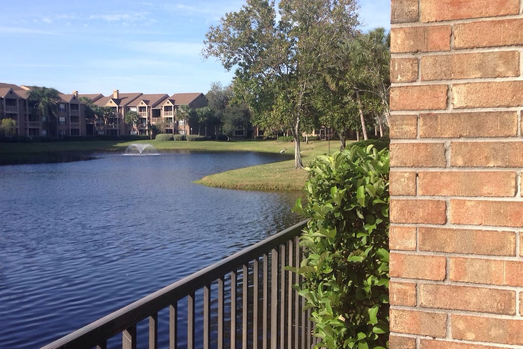 looking at the pond from Exercise room.
