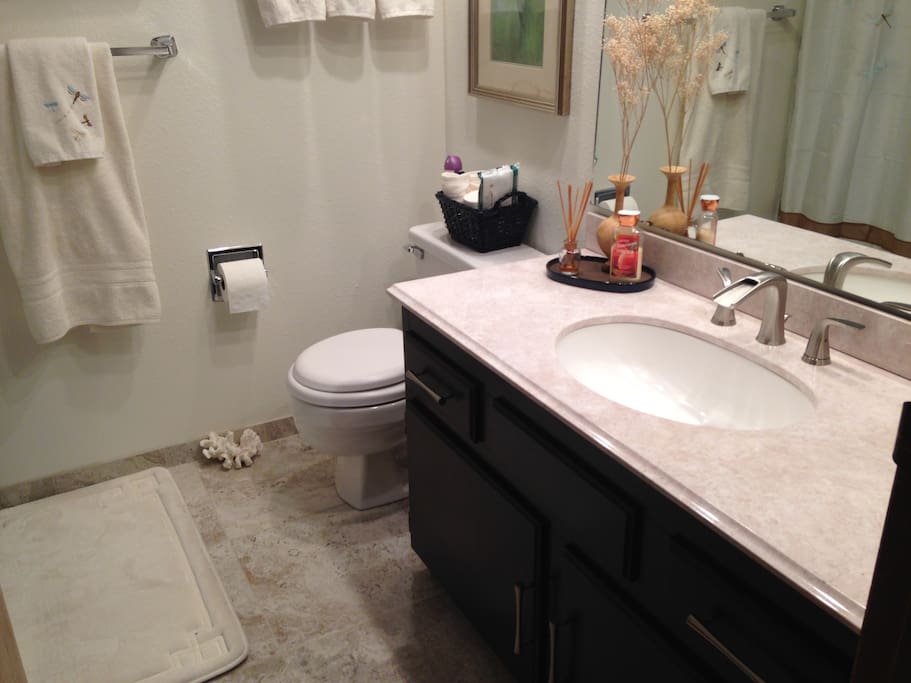New Guest Bath