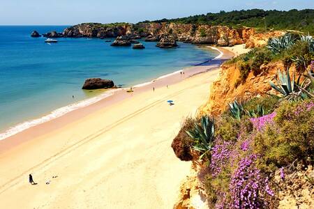 Get Apartaments a virginia beach un dormitori For Android Free Apartaments A Virginia Beach Un Dormitori